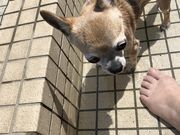 toiさんの屋外足湯「あったまり〜な」の投稿写真1