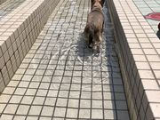 toiさんの屋外足湯「あったまり〜な」の投稿写真2