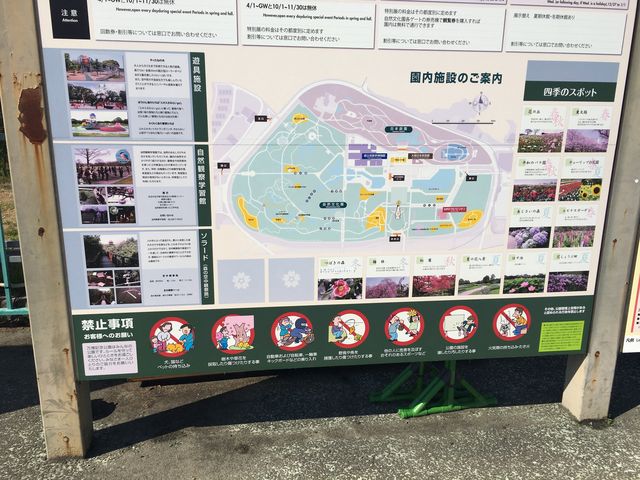 万博記念公園・日本庭園_万博記念公園・日本庭園