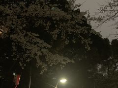 上野恩賜公園の写真1