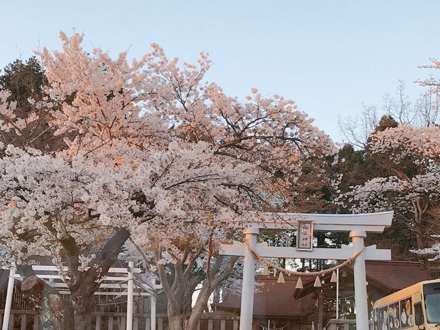 いさかさんの柏木神社の投稿写真1