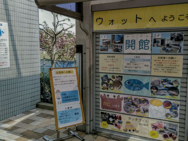 ウォット_浜名湖体験学習施設「ウォット」