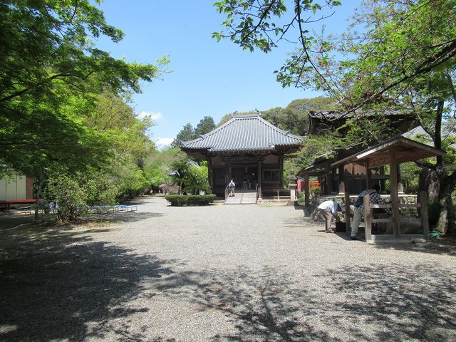 鶴亀松竹梅扇さんの荒神山観音寺の投稿写真4