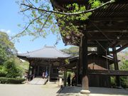 鶴亀松竹梅扇さんの荒神山観音寺の投稿写真2