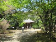 鶴亀松竹梅扇さんの荒神山観音寺の投稿写真3