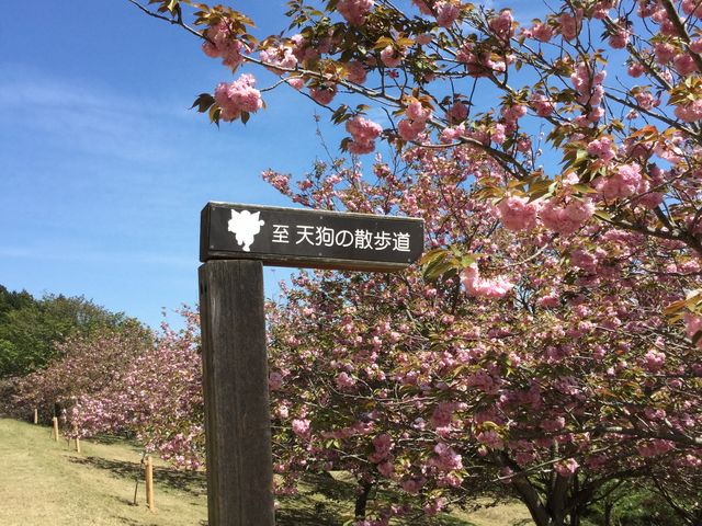 散歩道_愛宕神社(茨城県笠間市)