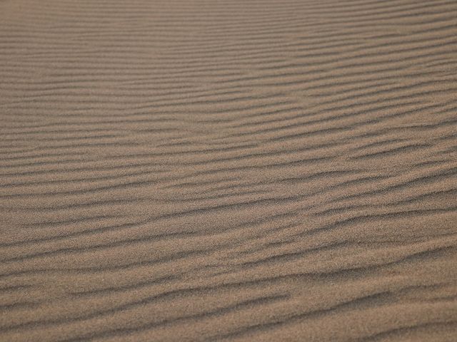 湿度の低い時季は、もっと見事な風紋ができるそうです。_風紋・砂簾