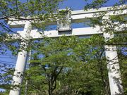 よっしーさんの愛宕神社の投稿写真2