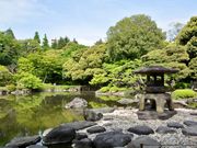 ニニギさんの旧古河庭園の投稿写真3