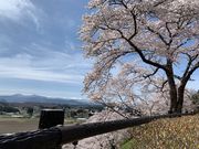 まなびーさんの大衡城跡公園の投稿写真1