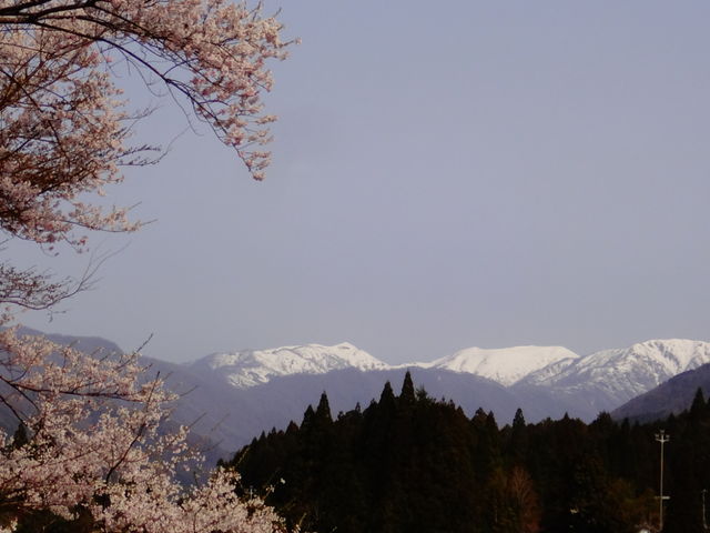 しどーさんの能郷白山(岐阜県揖斐川町)の投稿写真1