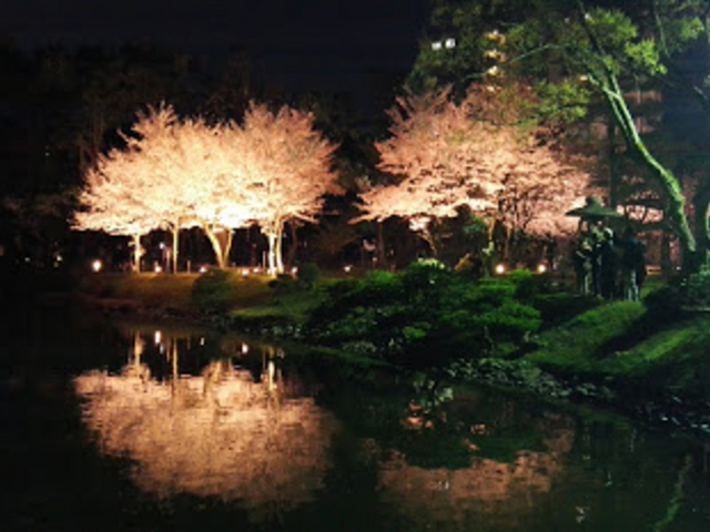 ライトアップが幻想的です_縮景園