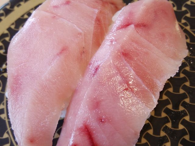 石巻産鮪中とろ_はま寿司 掛川店