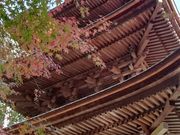 DoubleO7さんの金剛輪寺 三重塔の投稿写真2