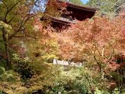 DoubleO7さんの金剛輪寺 三重塔の投稿写真3