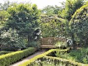 空詩土さんのクレマチスガーデンの投稿写真3