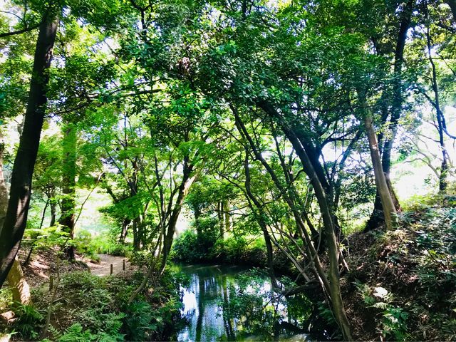 【六義園 蛛道】_六義園 蛛道