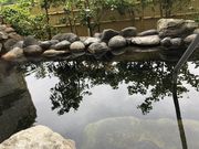 ヨッピ〜さんの千貫石温泉 湯元東館の投稿写真3
