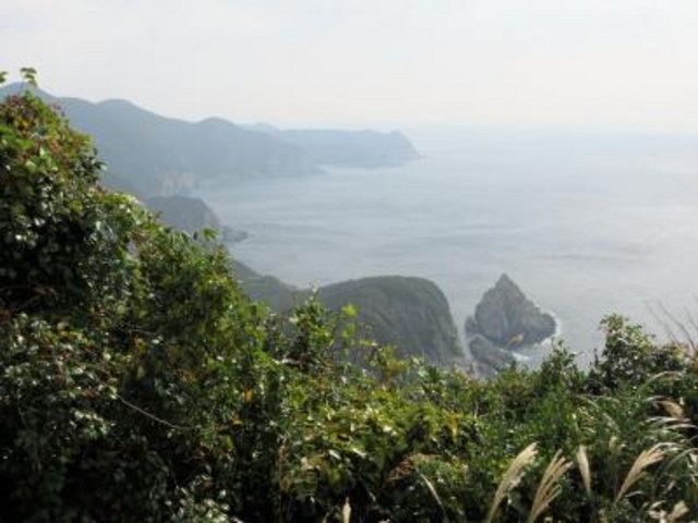 美しかったです!_大瀬崎断崖