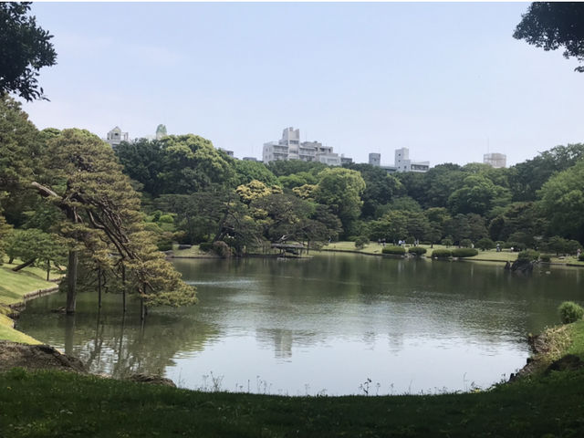 大泉水池畔_六義園 大泉水池畔