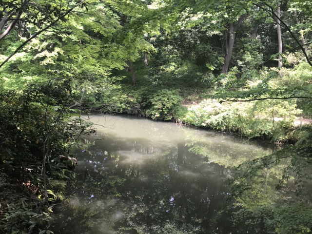 一面緑_六義園 蛛道