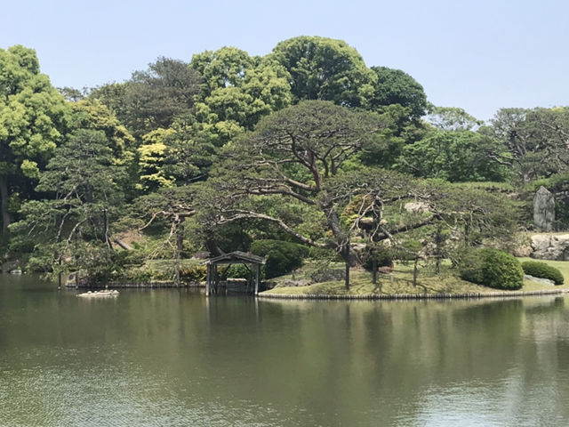出汐の湊からの眺め_六義園 出汐の湊