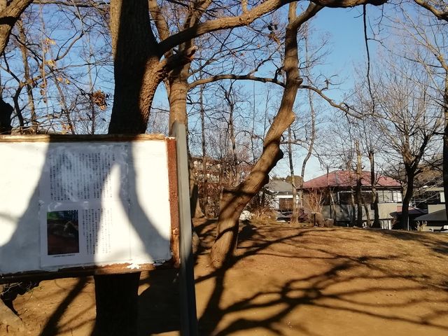 素人目には雑木林の台地のように見えます_上座貝塚