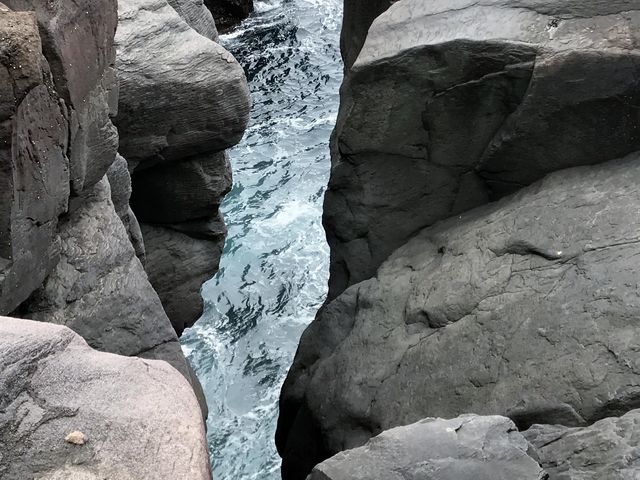 いがいが根_いがいが根