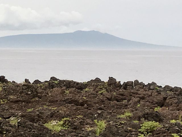 いがいが根 後方は大島_いがいが根