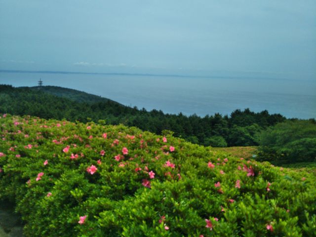 星ヶ山公園_星ヶ山公園