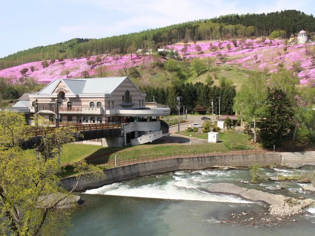 芝桜が見えます_虹の橋