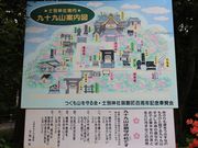 たかちゃんさんの九十九山の桜の投稿写真1