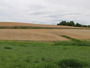 たかちゃんさんのかわにしの丘の投稿写真2