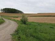 たかちゃんさんのかわにしの丘の投稿写真4