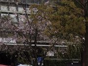 ややさんの東急電鉄大岡山駅(目黒線・大井町線)の投稿写真1