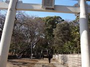 トロムソさんの碑文谷八幡宮の投稿写真1