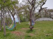 のほほん気分さんのマウントジーンズ那須の投稿写真3