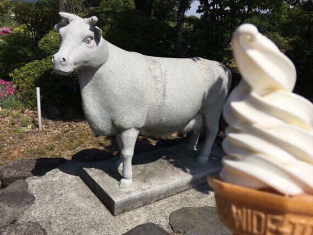 牛の像と高原ソフト(コーン)_高原堂