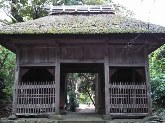 りそなさんの大泉寺仁王門の投稿写真1