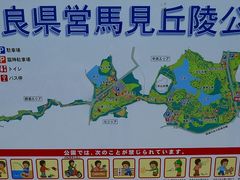 マックさんの県営馬見丘陵公園への投稿写真1
