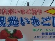 りそなさんのファームくじらなみ【いちご狩り】の投稿写真1