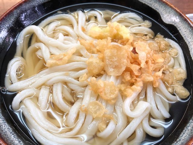 かけうどん_白川うどん