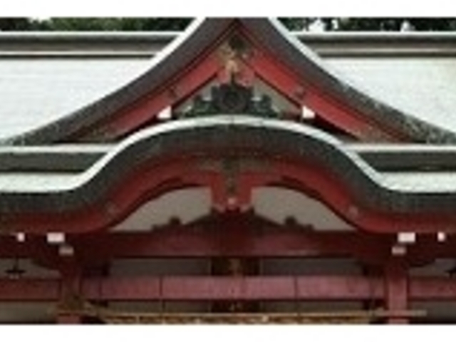 来宮神社_来宮神社(静岡県伊豆市)