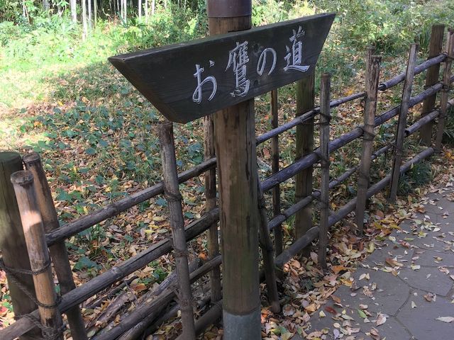 道の途中_お鷹の道・真姿の池湧水群