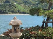 tukaさんの住吉神社の投稿写真1