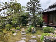 ゆきなさんの忍町の投稿写真1