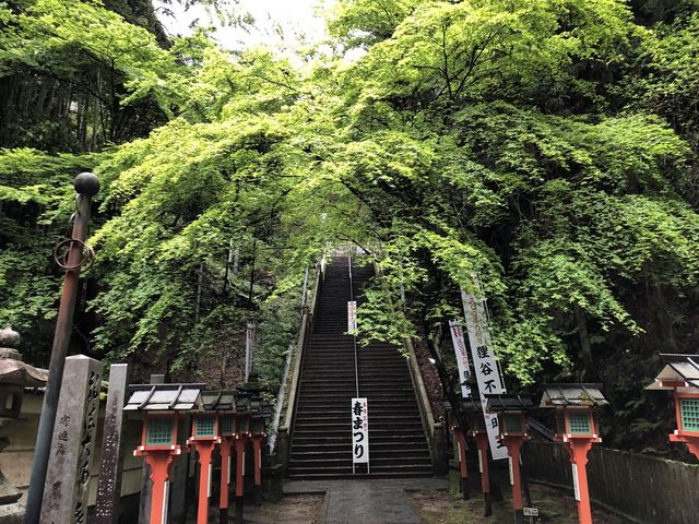 狸谷山不動院_狸谷山不動院