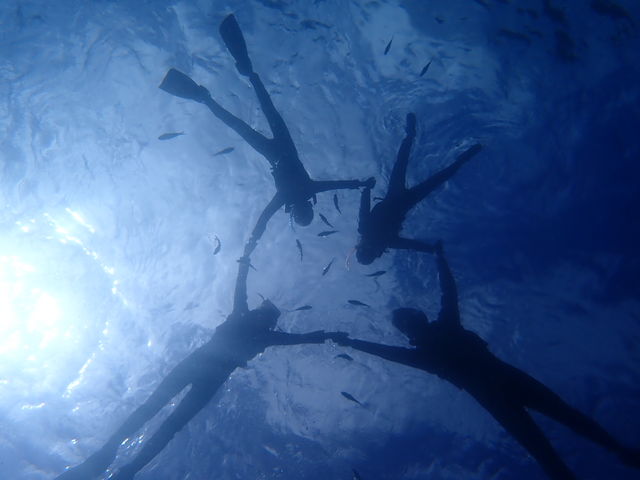 魚いっぱいの青いきれいな海_ダイビングショップ SeaFree