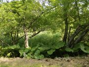 ソフトな乗り鉄 たか56歳さんの温根内ビジターセンターの投稿写真3