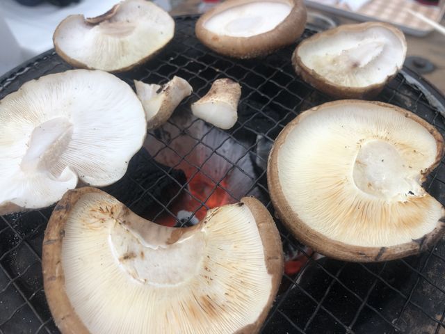 醤油ではなく塩だけで食べるのが良いと思います_梅ヶ島 天空ファーム